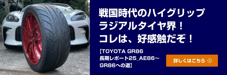 NEXEN（ネクセン） サマータイヤ NFERA SUR4G 205 55ZR16 91W 15718NX - 2