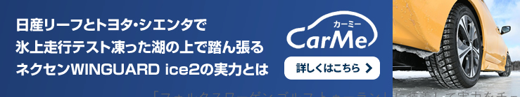 WINGUARD ice2 | 株式会社ネクセンタイヤジャパン